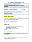 E6 GESTION DE L’INFORMATION TOURISTIQUE (GIT) FICHE DESCRIPTIVE DE PRODUCTION