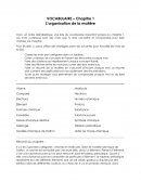 L’organisation de la matière