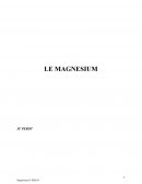 Le magnésium