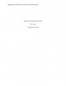 Individual Critical Summary Paper (case study)