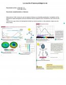 La couche d’ozone protège la vie