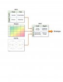 DIAGNOSTIC MANAGEMENT MEMOIRE