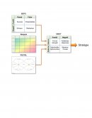 DIAGNOSTIC MANAGEMENT MEMOIRE