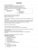 Cours de géopolitique