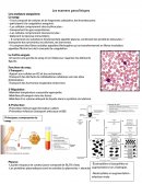 Examen para-clinique