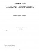 Rapport evalbot programmation des microprocesseurs