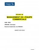 Autoportrait MANAGEMENT DE L’ÉQUIPE COMMERCIALE