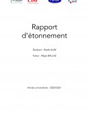 Rapport d'étonnement