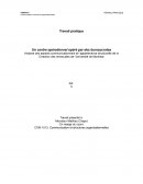 COM1013_Analyse des aspects communicationnels et l’appartenance structurelle