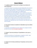Principe de Spertmatogène