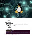 TP MANIPULATION DES FICHIERS LINUX