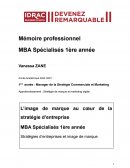 Mémoire professionnel MBA Spécialisés 1ère année