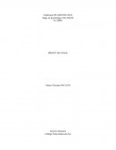 Rapport de stage Projet Intervention prostitution Québec (PIPQ)