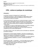 Culture et pratique du numérique