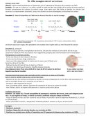 TP Effet mutagène des UV sur la levure