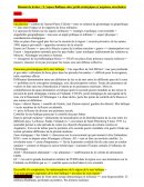 Résumé de Lecture de Matthieu Chamillaud