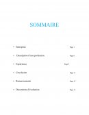 Rapport de stage 3ème crèche