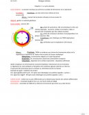 Biologie cellulaire