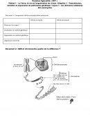 Transmission, variation et expression du patrimoine génétique