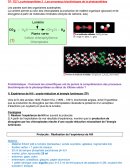 Les processus biochimiques de la photosynthèse