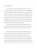 Quel est le plus important entre l'identité et la plasticité ? Dissertation Descartes