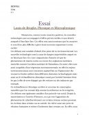 Essai Louis de Broglie, Physique et microphysique