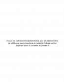 En quoi les professionnels représentent-ils, pour les établissements de crédits une source importante de rentabilité ?