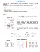 Biologie moléculaire : La réplication
