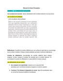 La vision des couleurs