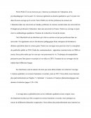 L’analyse qualitative en sciences humaines et sociales,