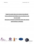 Rapport de projet tutoré et de mission Internationale