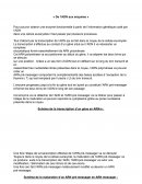 De l’ADN aux enzymes