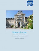 Rapport de stage / Maternité