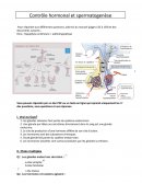 Contrôle hormonal et spermatogenèse