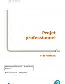 Rédaction du projet professionnel : Processus de réflexion et de réflexivité