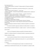 Droit Pénal TD