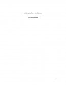 Sociétés actuelles et mondialisation