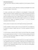 Droit pénal : Etude d 'une fiche d'arrêt