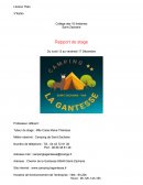 Rapport de stage / Camping de Saint-Zacharie