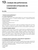 13 L’analyse des performances commerciale et financière de l’organisation