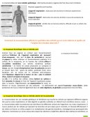 La mucoviscidose