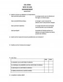 Etude de management : Exercices