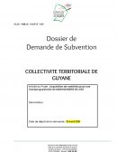 Acquisition de matériels pour une marque guyanaise de maroquinerie de luxe