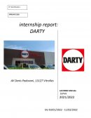 Rapport de stage Darty