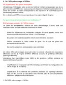 De l’ARN pré messager à l’ARNm