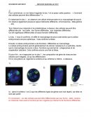 Comment des cellules peuvent être différenciées ?