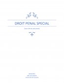 Droit pénal spécial