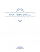 Droit pénal spécial