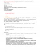 Fiche de révision ERP Entreprise Ressources Planning