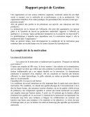 Rapport projet de Gestion sur la motivation